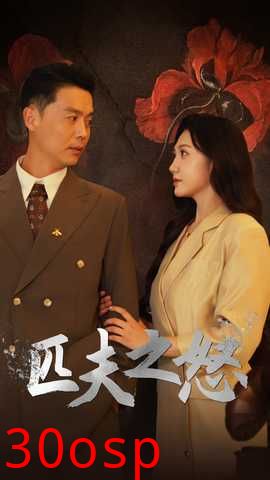 匹夫之怒