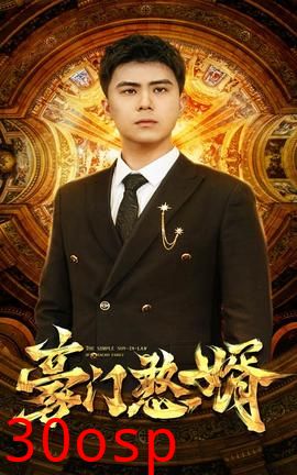 豪门憨婿