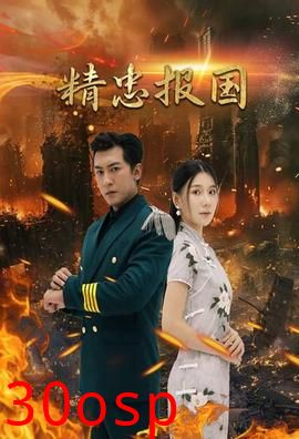精忠报国