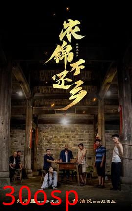 衣锦不还乡