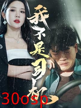 我不是司机