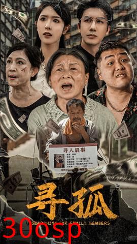 寻孤短剧