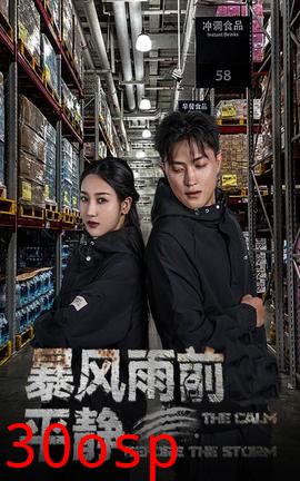 暴风雨前的平静