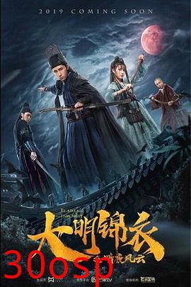 大明锦衣之暗夜风云