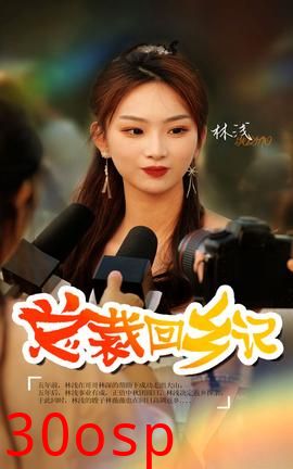 总裁回乡记