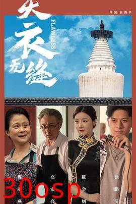 天衣无缝2024