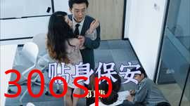 贴身保安