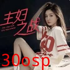 主妇之战
