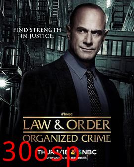 法律与秩序：组织犯罪第四季