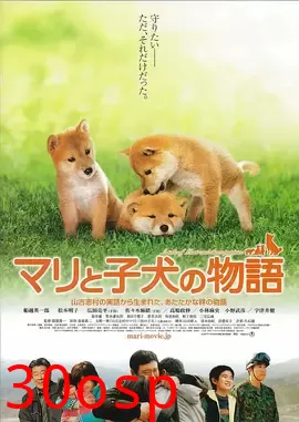 爱犬奇迹【影视解说】