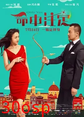 命中注定【影视解说】