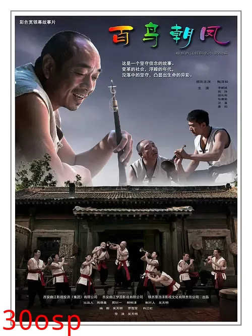 百鸟朝凤【影视解说】