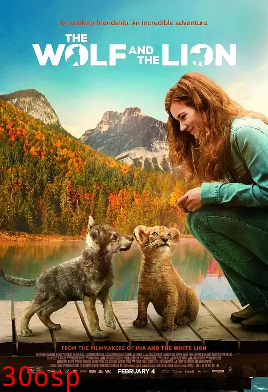 小狮与灰狼【影视解说】