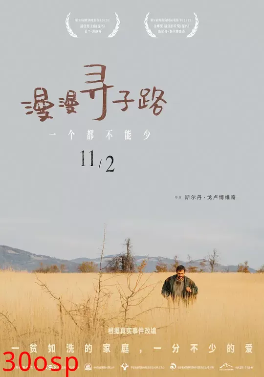 漫漫寻子路【影视解说】