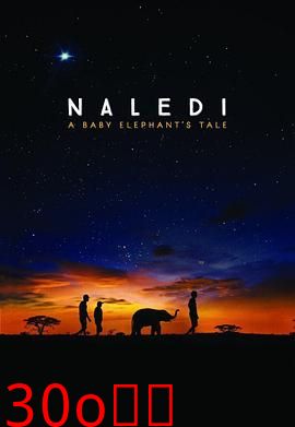 纳勒迪：一只小象的故事