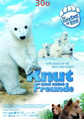 克努特和它的朋友们