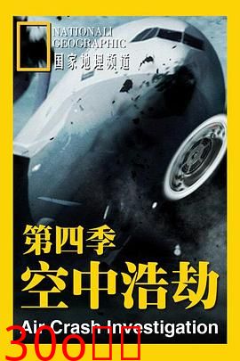 空中浩劫第四季