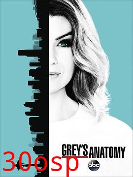 实习医生格蕾第十三季