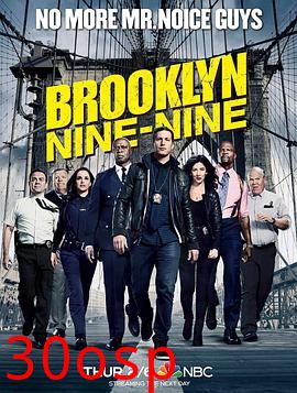 神烦警探第七季