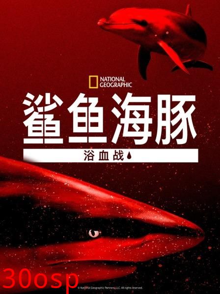 鲨鱼海豚浴血战