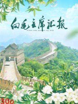 向毛主席汇报
