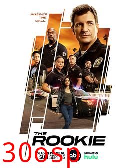 菜鸟老警第五季