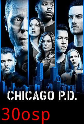 芝加哥警署第六季