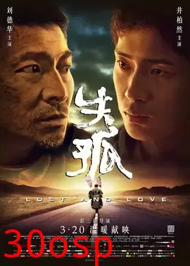 失孤【影视解说】