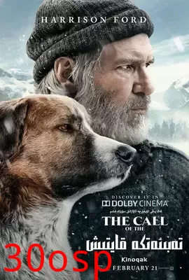 荒野的呼唤【影视解说】