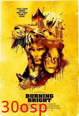 燃烧的夜晚【影视解说】