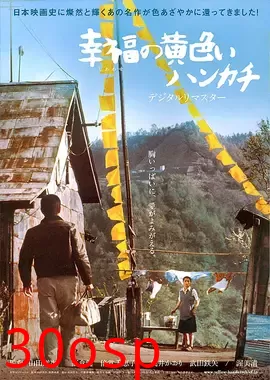 幸福的黄手帕【影视解说】