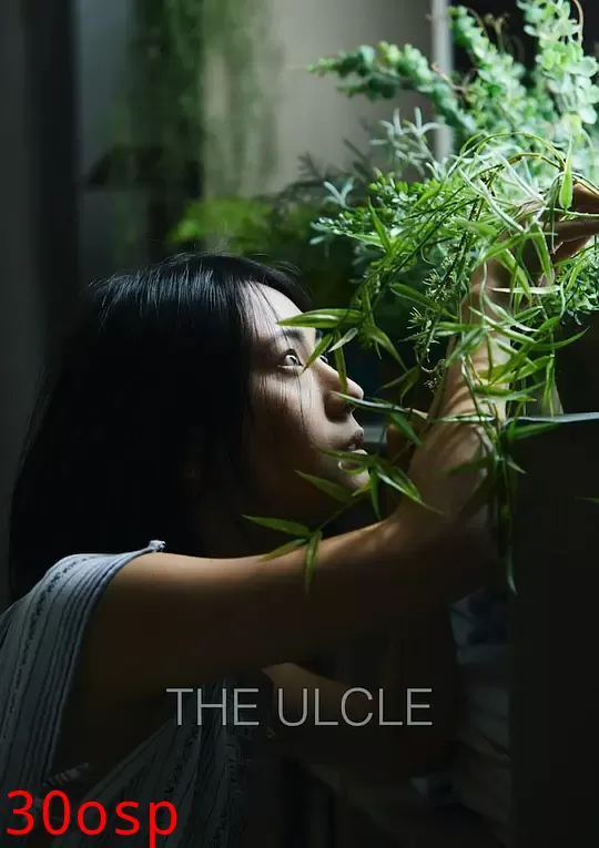 叔叔【影视解说】