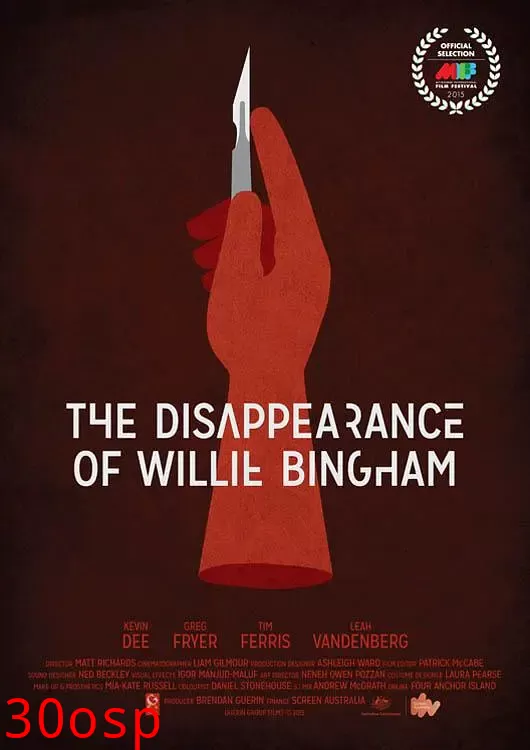 威利·宾汉的消失【影视解说】