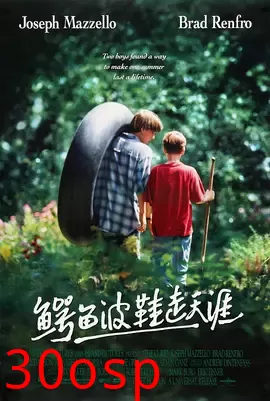 鳄鱼波鞋走天涯【影视解说】