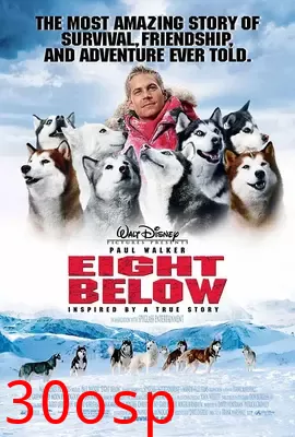 南极大冒险【影视解说】