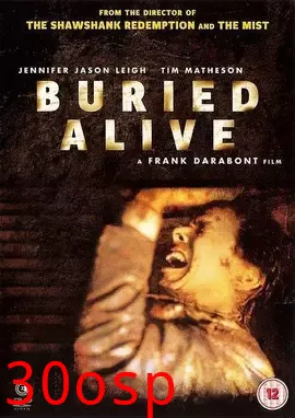 杀夫【影视解说】