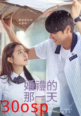 婚礼的那一天【影视解说】