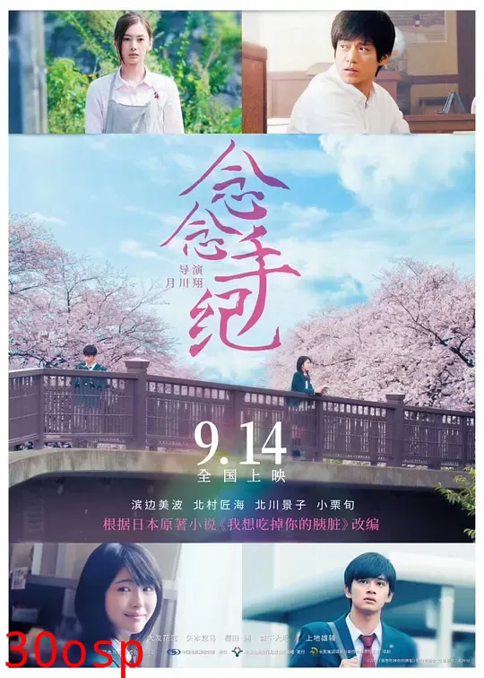 念念手纪【影视解说】