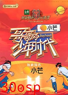 哥哥的少年时代