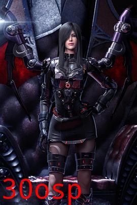 雄兵连之雄芯篇