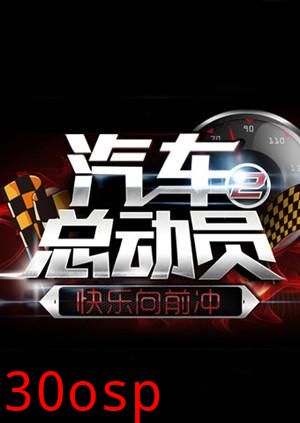 汽车总动员2014