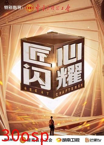 匠心闪耀