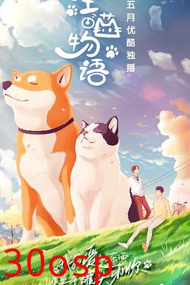 汪喵物语