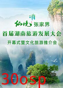 首届湖南旅游发展大会开幕式暨文化旅游推介会