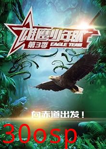 雄鹰少年队第三季