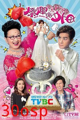 灿烂的外母粤语