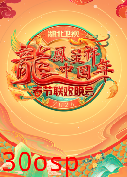 2024湖北卫视春节联欢晚会
