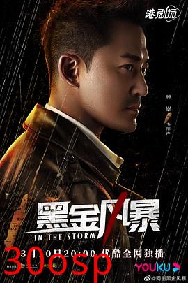 黑金风暴国语
