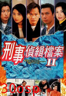 刑事侦缉档案2国语