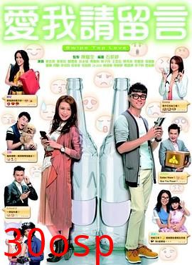 爱我请留言粤语